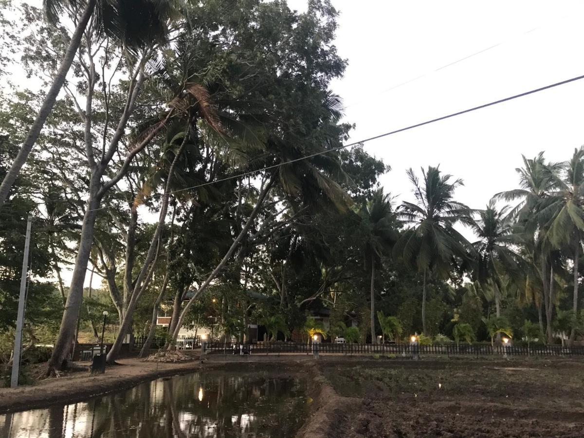 Sethway Village Minneriya Exterior foto
